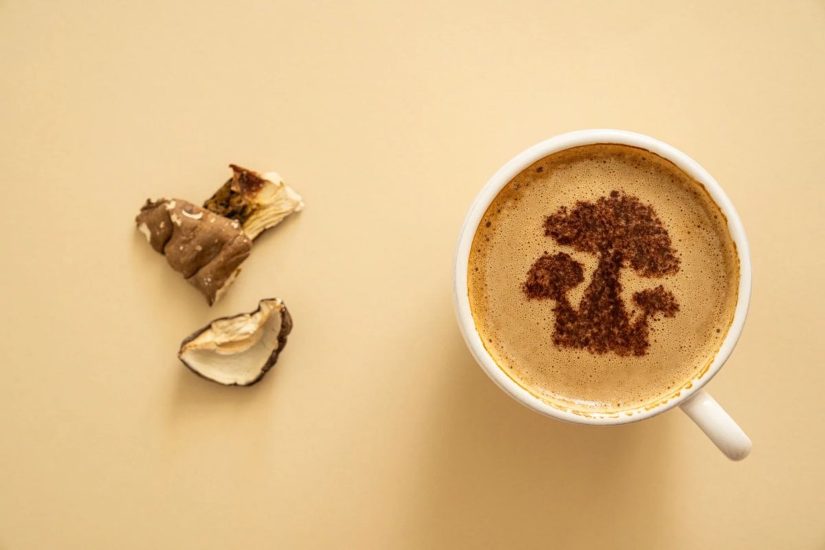 Contraindicații Cafea Ganoderma