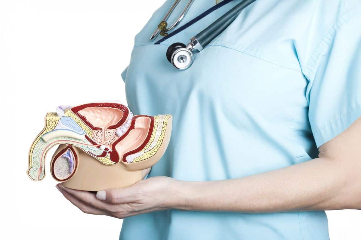 Adenom de Prostata Tratament Naturist