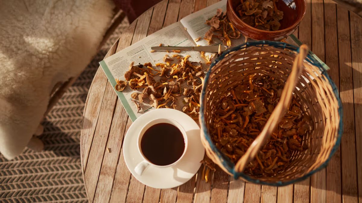Beneficiile Majore ale Cafelei Ganoderma