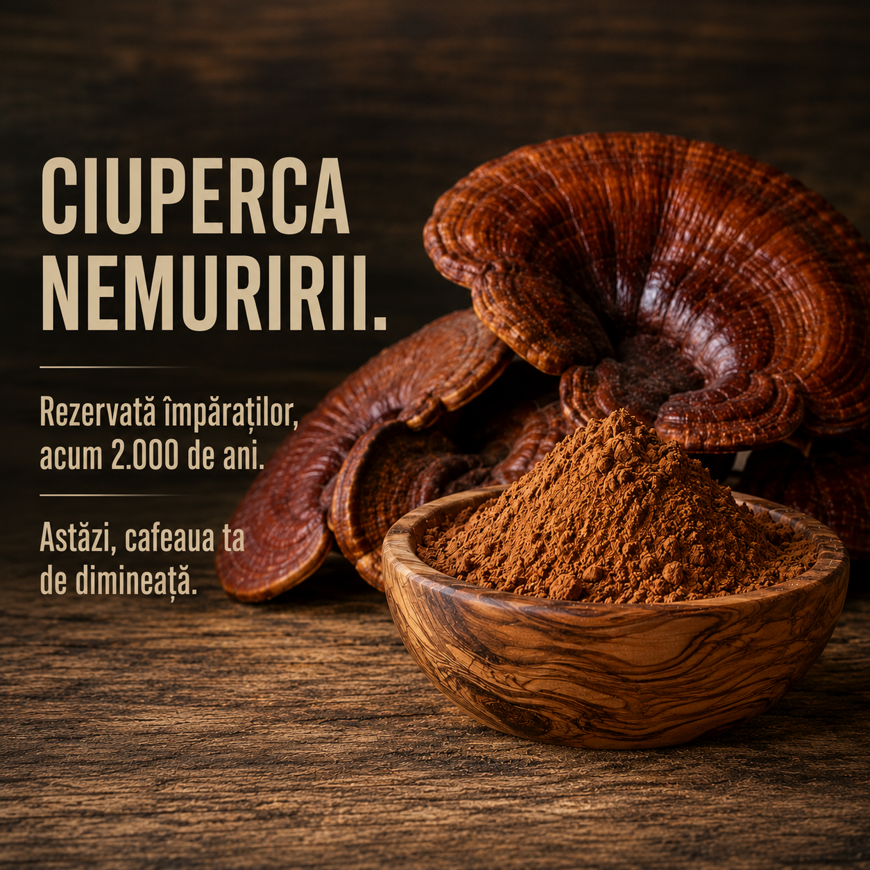 Cafea Neagră cu Ganoderma (30 plicuri)