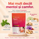 Plasturi Antiinflamatori Flexi+