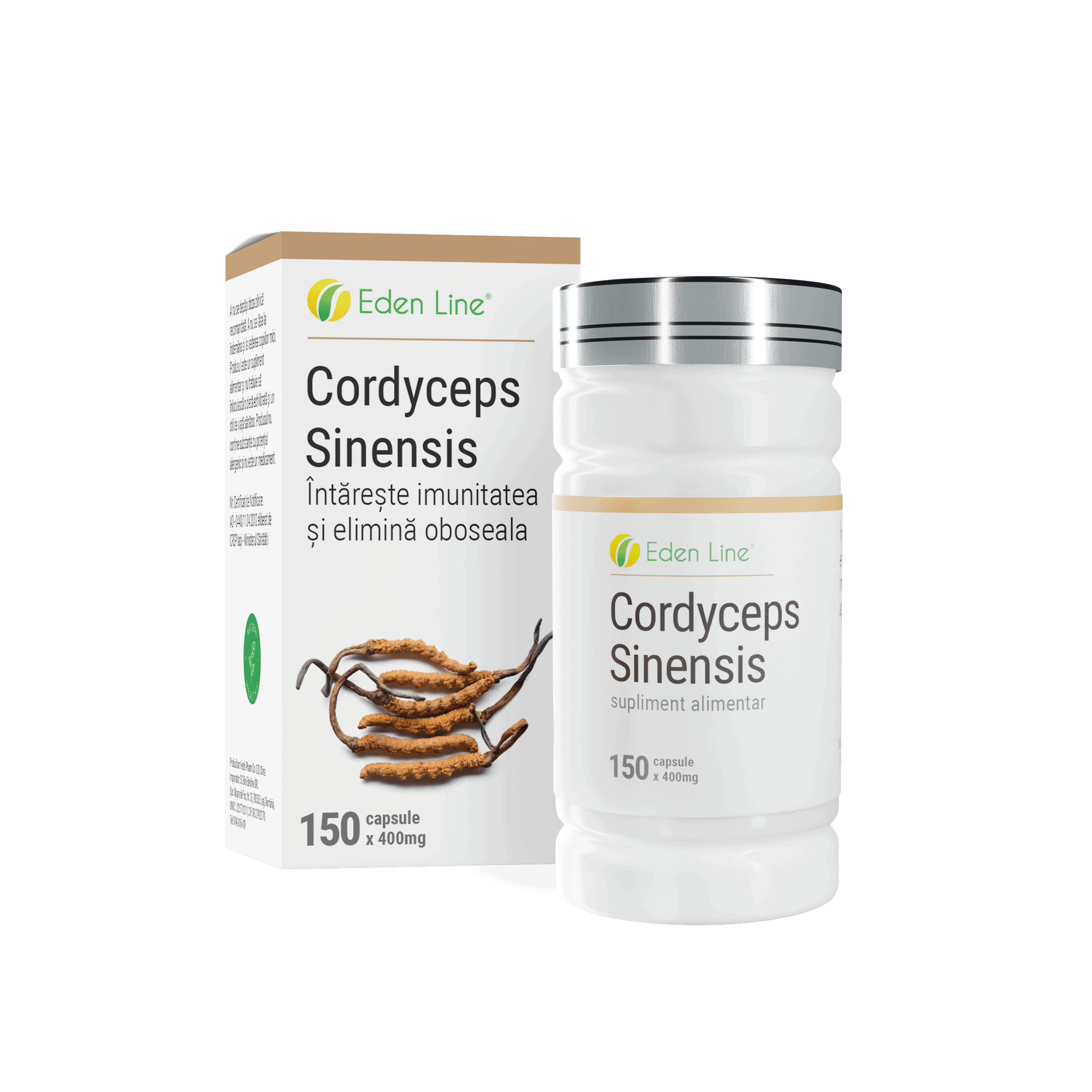 cordyceps_sinesis cordyceps_sinesis
