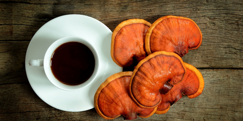Cup,Of,Reishi,Tea,And,Fresh,Lingzhi,Mushroom,On,Dark Cup,Of,Reishi,Tea,And,Fresh,Lingzhi,Mushroom,On,Dark