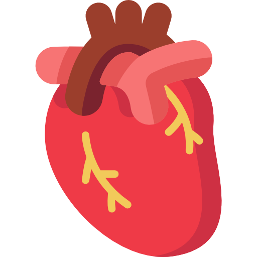 inima-sanatate-cardiovasculara