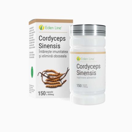 cordyceps-sinensis