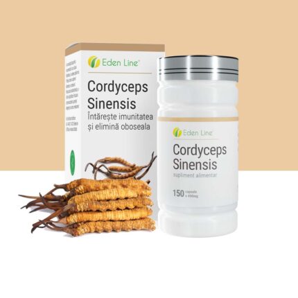 cordyceps-sinensis-ing