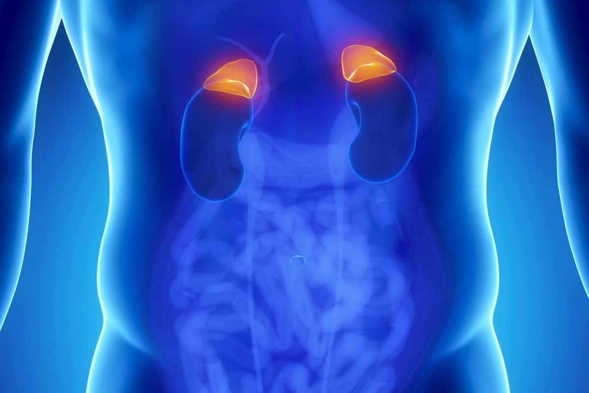 leacuri-adenom-suprarenal