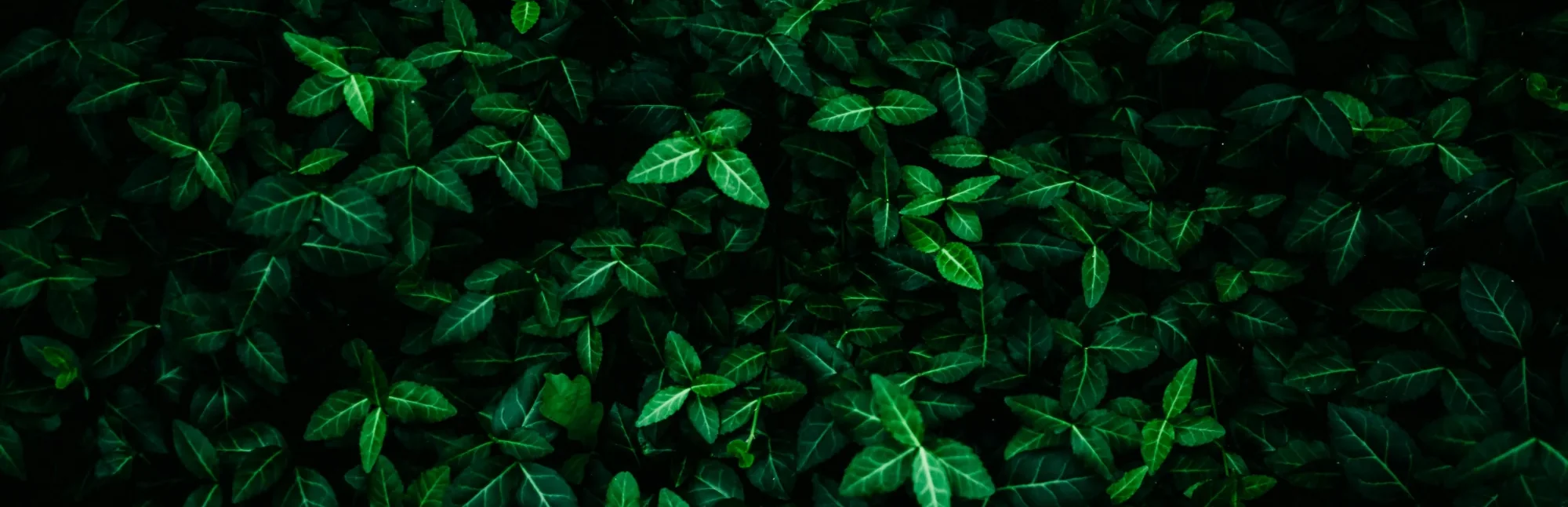 black-friday-category-background