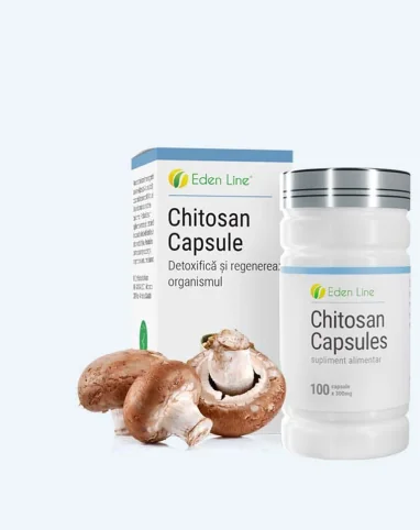 chitosan-banner-382x482
